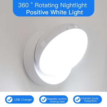 Motion Sensor Night Light for Corridors, Garages, and Wardrobes